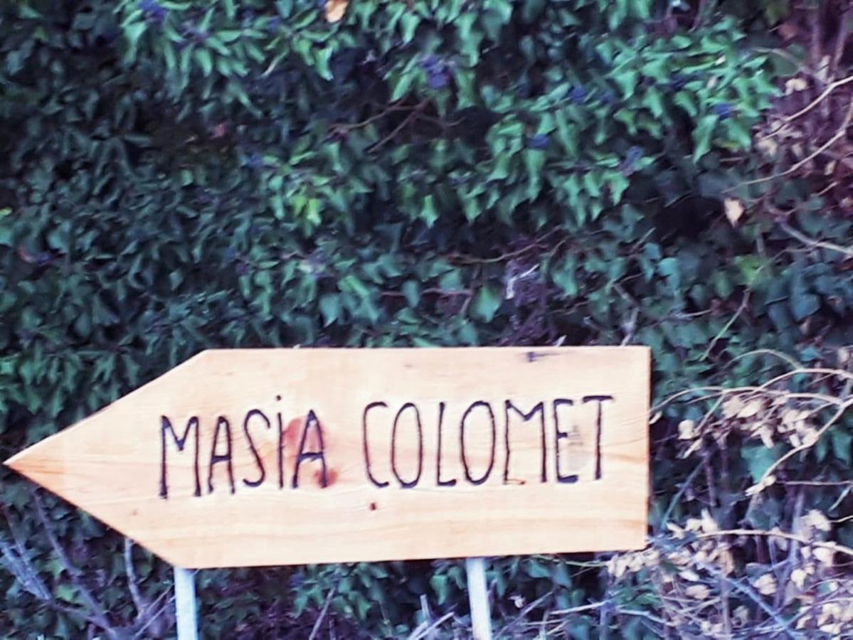 Masia Colomet Villa Aransis Exterior photo
